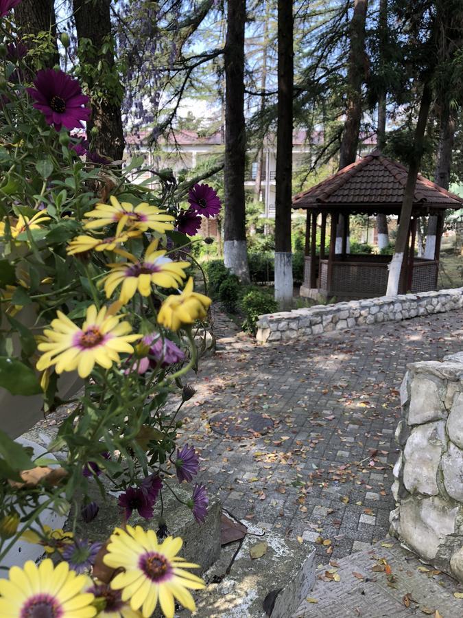HELIOPARK Gora Bagrata Hotel Sukhumi Bagian luar foto